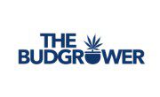 TheBudGrower